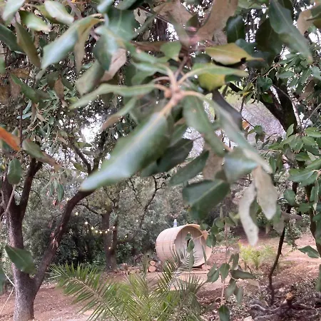 La Viste - Spa-jacuzzi - Massage- Sauna - 4 Saisons - Piscine Chauffee Toute L'annee - Heated Pool - 800m Centre Bed & Breakfast Nyons