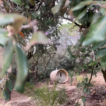 Bed & Breakfast La Viste - Spa-jacuzzi - Massage- Sauna - 4 Saisons - Piscine Chauffee Toute L'annee - Heated Pool - 800m Centre Nyons