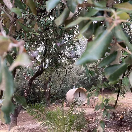 Bed & Breakfast La Viste - Spa-jacuzzi - Massage- Sauna - 4 Saisons - Piscine Chauffee Toute L'annee - Heated Pool - 800m Centre 4*