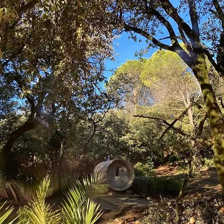 La Viste - Spa-jacuzzi - Massage- Sauna - 4 Saisons - Piscine Chauffee Toute L'annee - Heated Pool - 800m Centre Bed & Breakfast Nyons