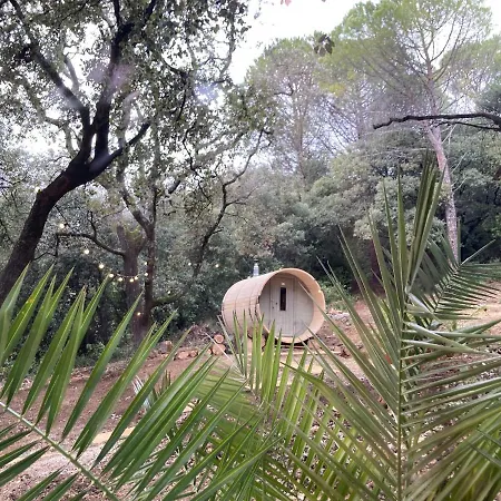 La Viste - Spa-jacuzzi - Massage- Sauna - 4 Saisons - Piscine Chauffee Toute L'annee - Heated Pool - 800m Centre *